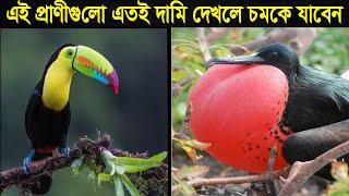 এই প্রানীগুলো এতই দামি যে শুনলে চমকে যাবেন । 8 Most Expensive Animals In Bangla