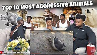 Top 10 Most Aggressive Animals in the World (REACTION)