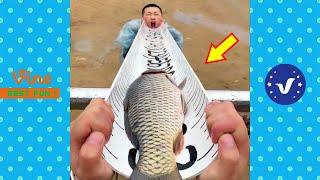 New Funny Videos 2020 ● People doing stupid things P137