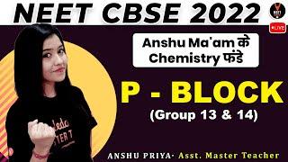 P Block Group 13 and 14 | Concept and NEET Questions | NEET 2022 Preparation | NEET Chemistry