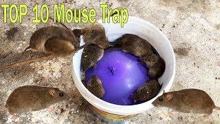 TOP 10 Idea Mouse Trap 
