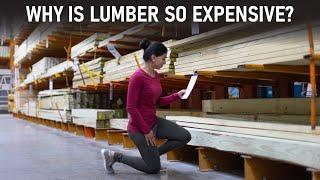 Why is Lumber so expensive? | Supply chain issues explained