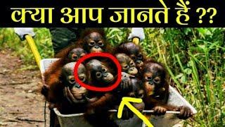 Top 10 Amazing Facts About World || Unknown Amazing Random Facts || Hindi !