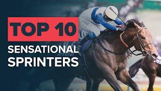 TOP 10 BEST TURF SPRINTERS | LORD KANALOA & LOCHSONG