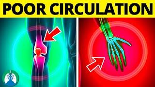 ⚠️ Top 10 Symptoms That Show Poor Blood Circulation [WARNING]