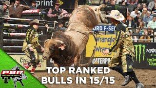 Top Bulls in The World in The Kansas City 15/15 | 2020