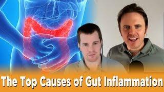 The Top Causes of Gut Inflammation  | Podcast #260