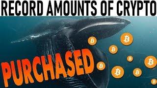 RECORD AMOUNTS OF CRYPTO PURCHASED!  MAJOR MOVE COMING!  BITCOIN'S BOTTOM SIGNALED? ALTCOIN NEWS!