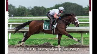 Kentucky Derby 2020: Tiz the Law