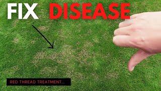 How To Treat Red Thread Lawn Disease - Brown Patch