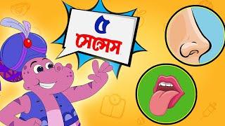 আমাদের পাঁচটি সেন্স | Five Senses | Bangla Cartoon | Bengali Nursery Rhymes | Moople TV Bangla
