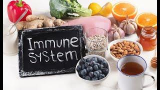 Top 10 Proven Foods That Boost Immune System