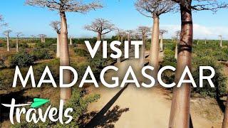 Top 10 Reasons to Visit Madagascar | MojoTravels
