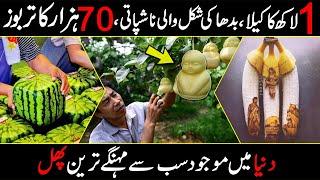 Top 10 Most Expensive Fruits In The World Urdu Hindi | Amazing Facts Around The World