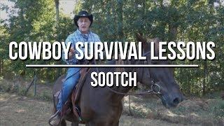 Top 10 Items Cowboys Carried for Survival on the Trail