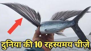 दुनिया की 10 रहस्यमय चीज़े | Top 10 Amezing facts | 10 Mysterious Facts