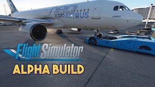 Microsoft Flight Simulator 2020 - ALPHA BUILD