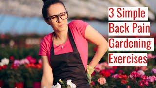 3 Simple Tips on Beating Back Pain from Gardening