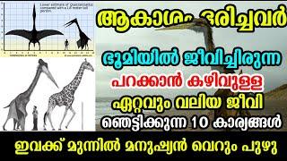 Top 10 Facts about Quetzalcoatlus | Largest Flying animal ever exist | പറക്കാന്‍ കഴിയുള്ള വലിയജീവി