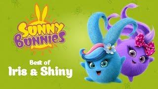 SUNNY BUNNIES - Iris and Shiny's Top 10 Funniest Moments | Cartoons for Children