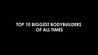 Top 10 body belder