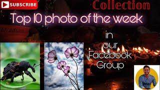 Top 10 photography in this week in our Facebook group Collection