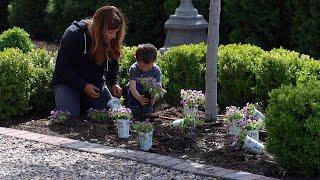 Planting Annuals in the Ground + 10 More Self Watering Containers! 