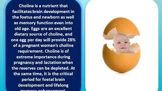 Top 10 Health Benefits of Eating Eggs.. Must WATCH!!!