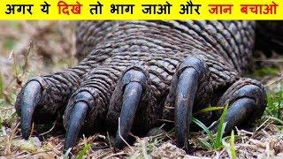 अगर ये जानवर दिखे तो भाग जाओ और जान बचाओ | Most Powerful and Largest Lizard Komodo Dragon