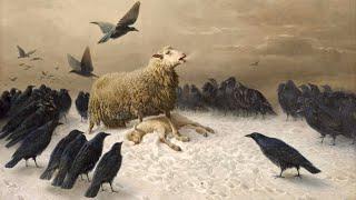 Animal's Place in the Universal Plan - Manly P. Hall | Esoteric, Metaphysical