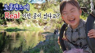 NZ Orere Point TOP10 Holiday Park 나만 알고싶은 뉴질랜드의 환상적인 곳! 오레레포인트 캠프장입니다.