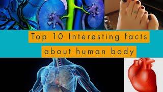Top 10 interesting facts about human body | English |Science Teacher