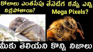 Amazing 10 Facts In Telugu |Top 10 Unknown  Facts In Telugu | Vlogger Hari