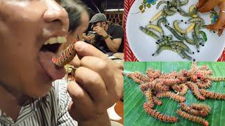 Top 10 Worms Eating In Primitive Survival Life