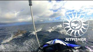 COBIA-19 (Fathoms) and Dolphins: Stray-lining Jetski Fishing