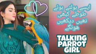 Top 10 Talking parrot  | girl talking parrot| totay k nakhray |