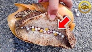 10 สิ่งของและสมบัติที่ถูกพบบนชายหาด (โชคดีสุดๆ)