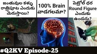 Top 10 Interesting and Unknown Facts In Telugu | #Q2KV Episode-25 | KranthiVlogger