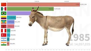 Top 10 Mule Stocks (head) Countries from 1961 | FAO DATA