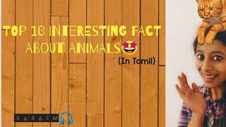 Top 10 Interesting facts about Animals|| SaraFm