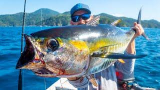 Kayak Fishing: BIG Tuna & Hammerhead Sharks Offshore | #FieldTrips Panama