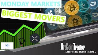 TOP 10 Biggset Gainers in the past month (August) and an honourable mention!!