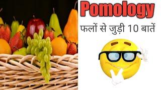 टॉप 10 फलों से संबंधती जानकारी  हिन्दी मे | Top 10 Information related to Fruits