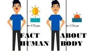 TOP 10 FACTS ABOUT YOUR BODY