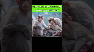 Top 10 amazing and interesting facts about world 