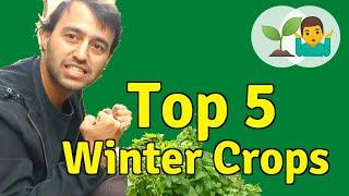 Top 5 Winter Crops | Vegetable Gardening Problems