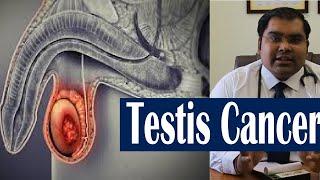 Testis Cancer Patient Information (Hindi) | अंडकोष की गांठ कैंसर हो सकती है