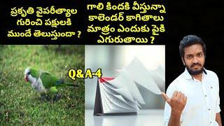 Top 10 Interesting And Unknown Facts In Telugu | #Q&A | Deep Telugu