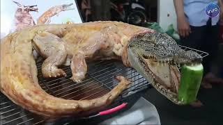 જાણો ચાઈનીઝ લોકો કેવું કેવું ખાય છે/ Top 10 Chinese sea food / Non Vegetable Food Eat By Chinese