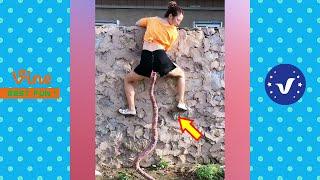 New Funny Videos 2020 ● People doing stupid things P133